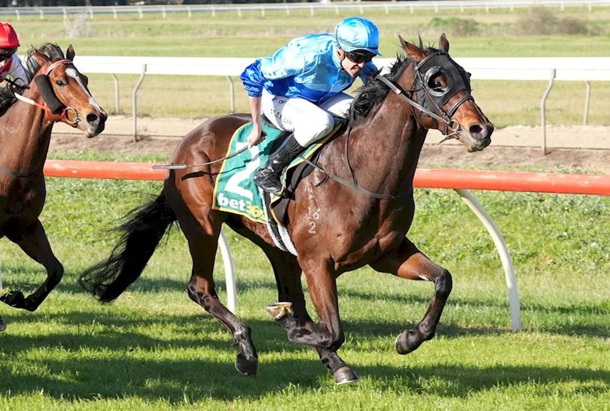 GOING ROGUE AT TATURA